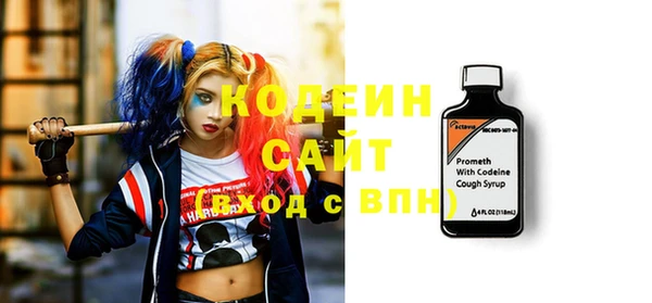 гашик Абаза